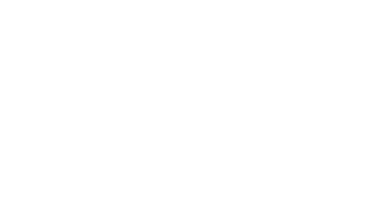 Cyber Cohesion Logo